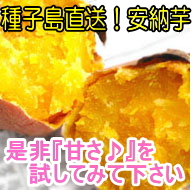 [͎qI