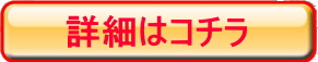 V[tRC_̊挒